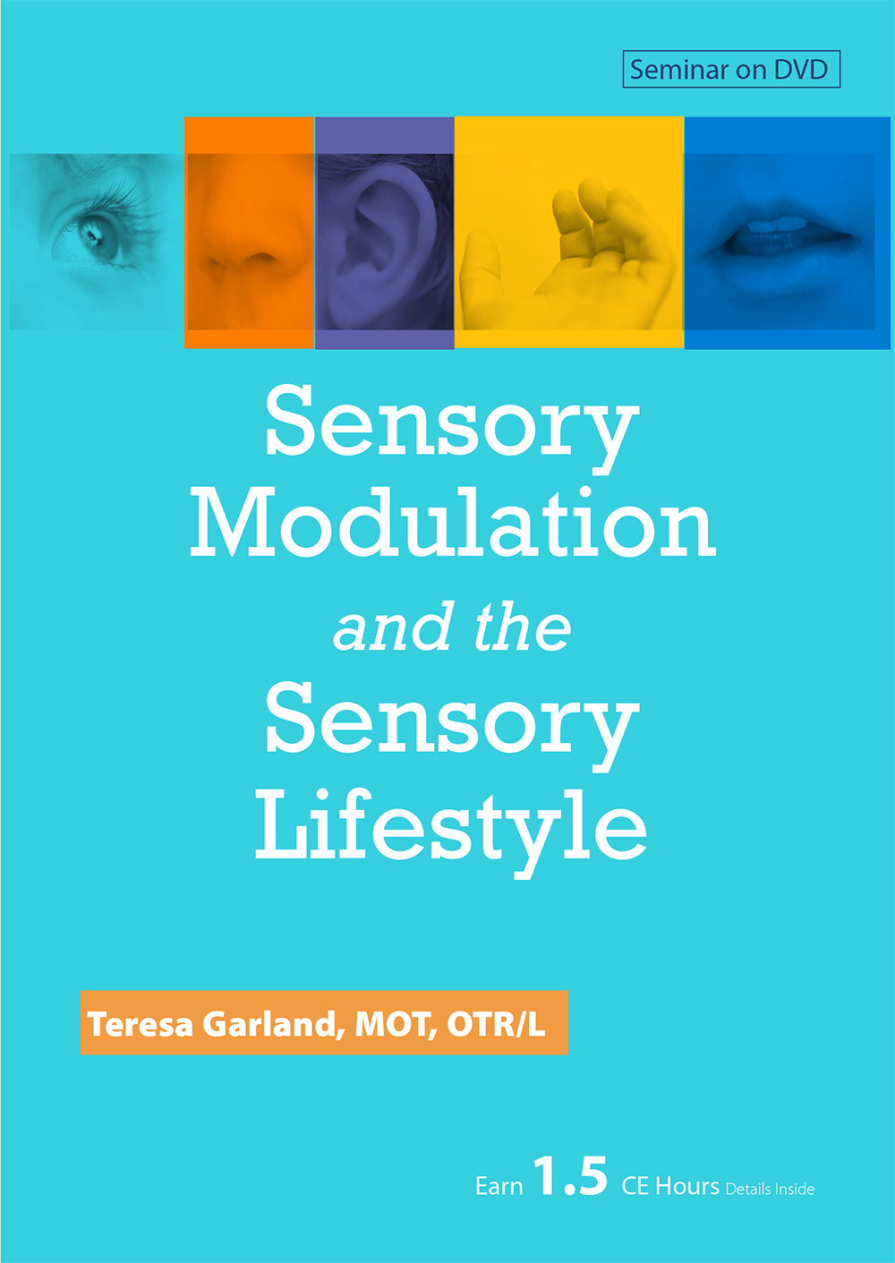 Sensory Modulation And The Sensory Lifestyle - Jack Hirose & Associates